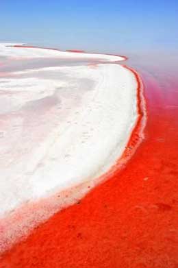 Duz gölü al qırmızıdır