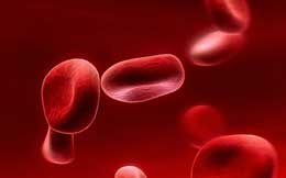 Qanda oksigeni tutan zülallar: hemoqlobinlər