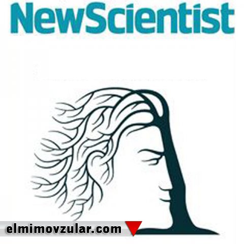“New Scientist” jurnalındakı “qidalanma vərdişləri və insanın təkamülü” yalanı