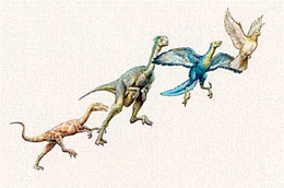 Dinozavrların quşlara çevrilməsi iddiası nə üçün elmə zidd nağıldır?